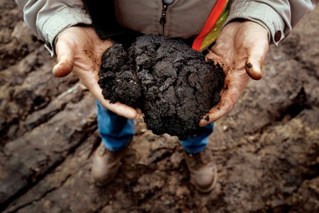 Bitumen from the Alberta tar sand before processing 