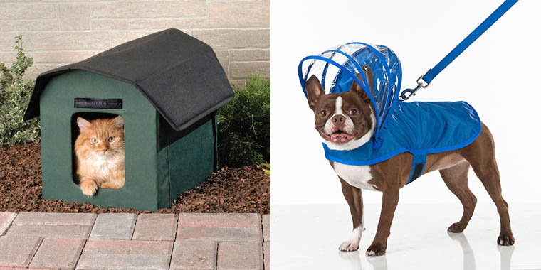 Skymall abounds with pet product potential nominees including the heated cat house and the dog umbrella.