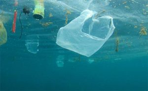 plastic bags in ocean